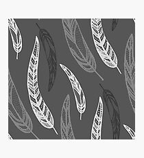 feathers, leaves, graphics Photographic Print
