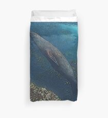 Papa Sealion Duvet Cover