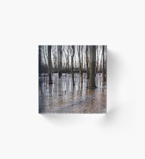 Iced Pond Acrylic Block