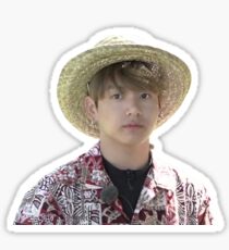 BTS GRUBBY JUNGKOOK HAWAII MEME Sticker