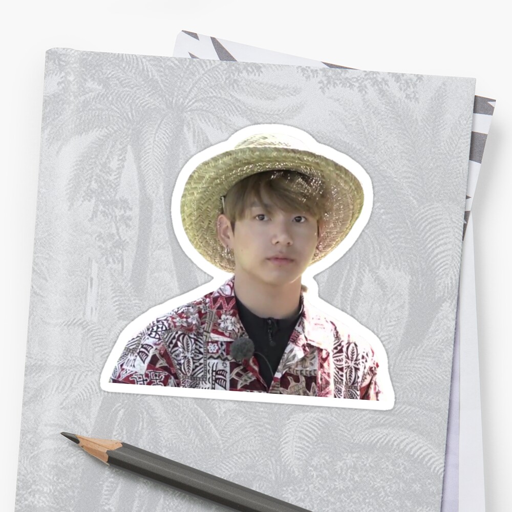 BTS GRUBBY JUNGKOOK HAWAII MEME Stickers By Lyshoseok Redbubble