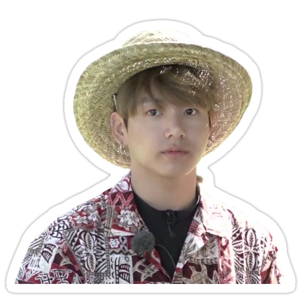 Pegatinas  BTS  JUNGKOOK HAWAII MEME   de lyshoseok Redbubble