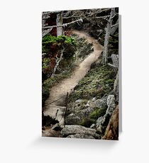 Through the Woods Greeting Card