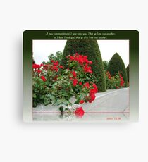 Red Roses for Love Canvas Print