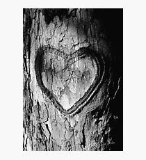 Tree Heart Black and White Photographic Print