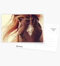 Majesty Postcards