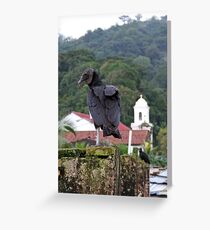 Vulture Greeting Card