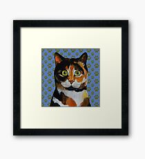 Tortie Framed Print
