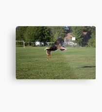 Jump Jump Metal Print