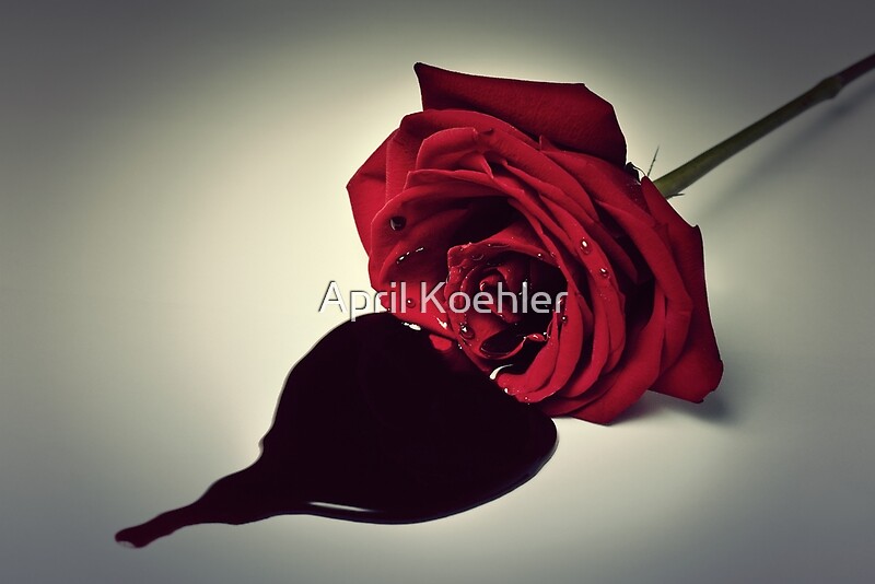 "Bleeding Rose" by April Koehler Redbubble