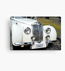 23642 H Canvas Print