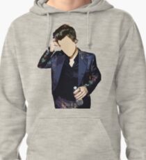 Harry Styles Pullover Hoodie