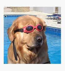 POOL DOGGO Photographic Print