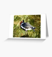 Headless Quack......Happy Halloween! Greeting Card