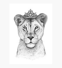 The Queen Photographic Print