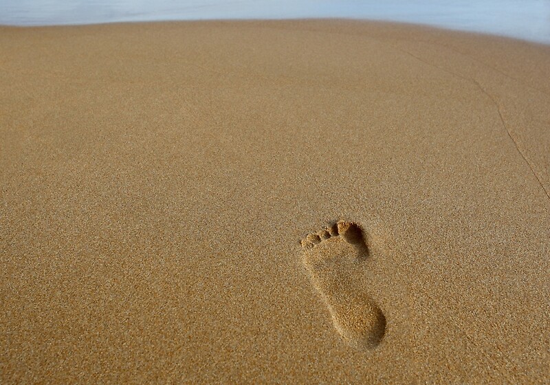 Текст следы на песке. Следы на песке притча. Пляж Майами следы на песке животных в Тини. Шаги следы на песке. Пляж Майами следы на песке животных.