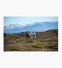 Newborough Warren Photographic Print