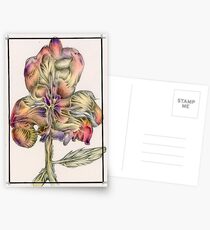 Pansy Postcards