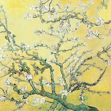 Yellow blossom 2024 van gogh