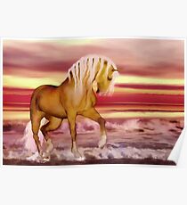 Palomino Poster