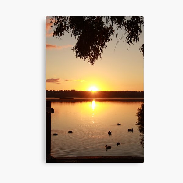 Sunrise over Lake Joondalup Canvas Print