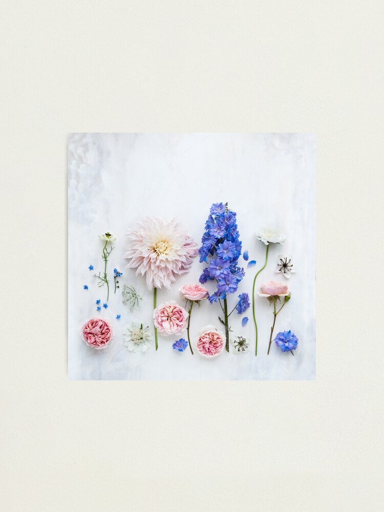 Alternate view of Summer flowers Photographic Print