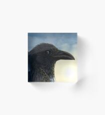 Pied Crow Acrylic Block