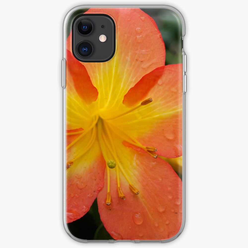 Rhododendron Splendor with Raindrops from A Gardener's Notebook iPhone Case & Cover