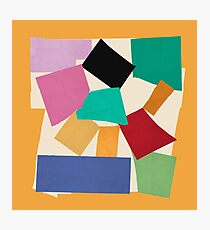 The Snail (Matisse Cut Out) Photographic Print