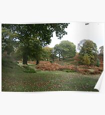 Powerscourt in autumn Poster