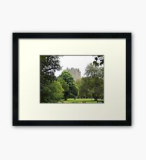 A Walk to Blarney Framed Print