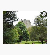 A Walk to Blarney Photographic Print