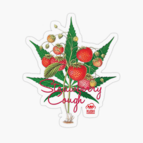 Strawberry Cough Transparent Sticker