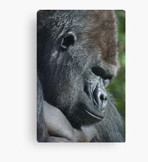 Yes, I know, I made the mistake... Canvas Print