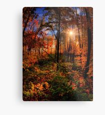 Michigan October Metal Print