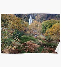 Powerscourt waterfall Poster