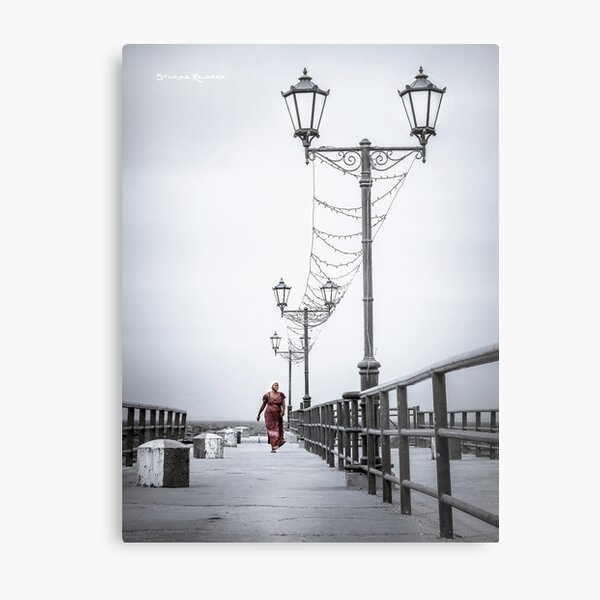 Long Back on The Bridge Metal Print