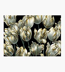 Winter Tulips in Gold. Photographic Print