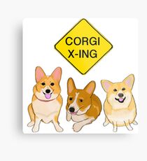Corgi Crossing Metal Print