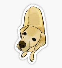 Spot the Lab Sticker
