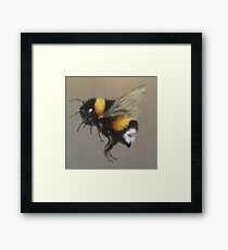 Bumble Bee Oil Painting by Angela Brown Art Framed Print