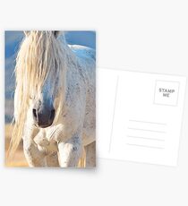 Old Man of the Desert-tight crop Postcards