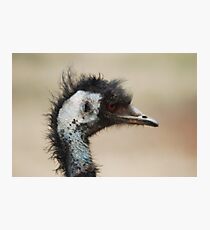 Bad hair day Photographic Print