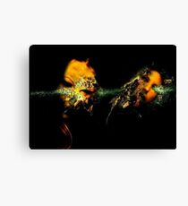 ACID BURN I Canvas Print