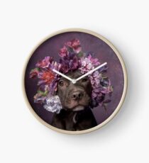 Flower Power, Dax Clock