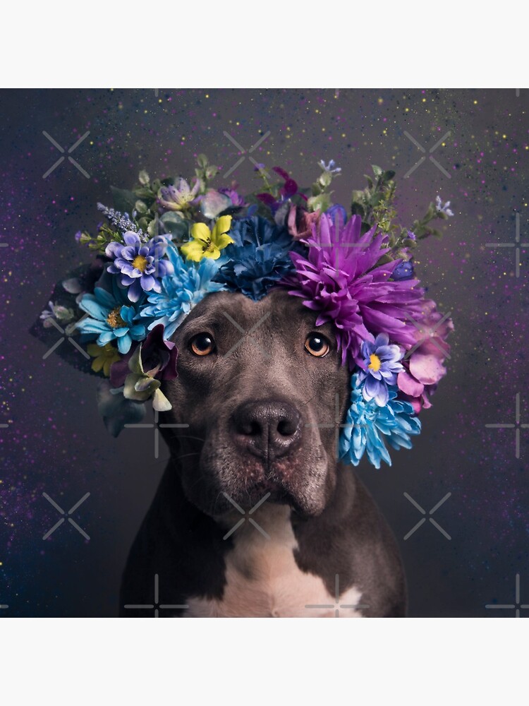 Flower Power, Destiny by SophieGamand