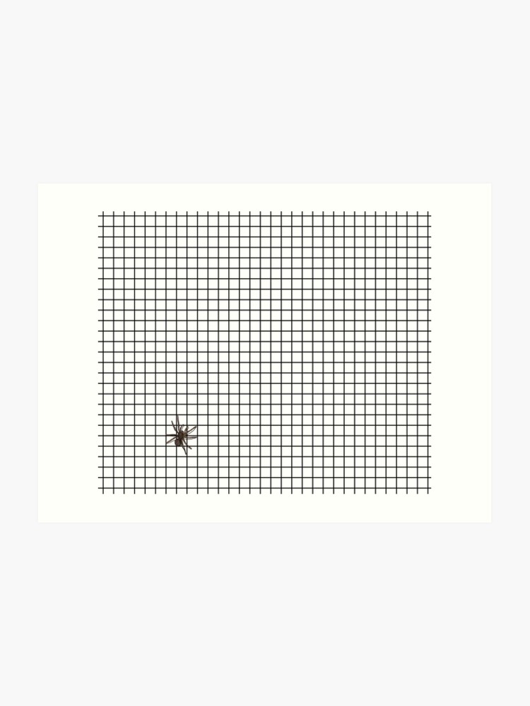 spider on black and white graph paper design art print graph paper design