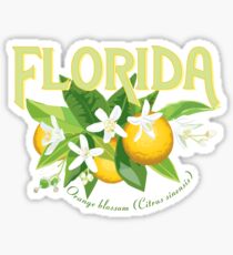 Florida - State Flower, Orange Blossom Sticker