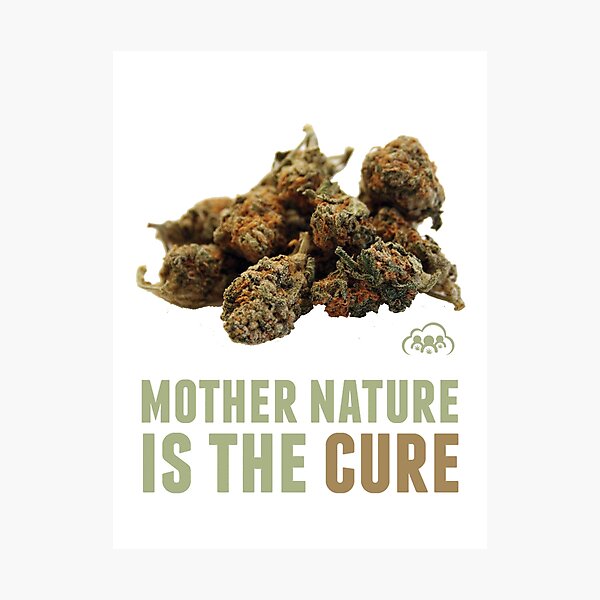 Mother Nature is the Cure Photographic Print