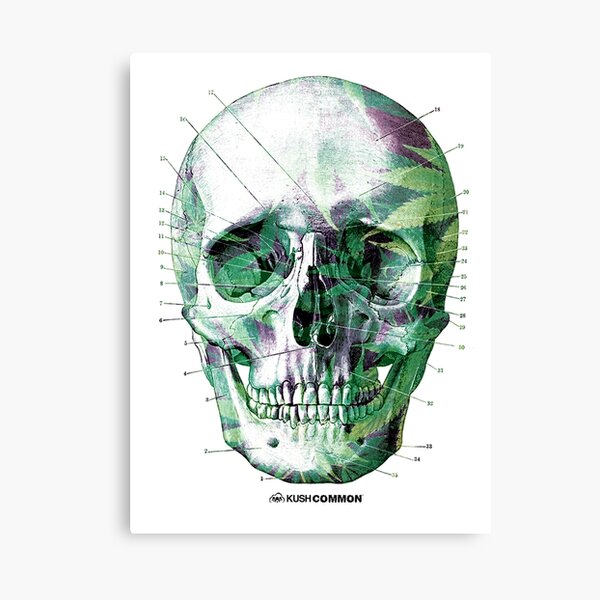 Pot Head Canvas Print